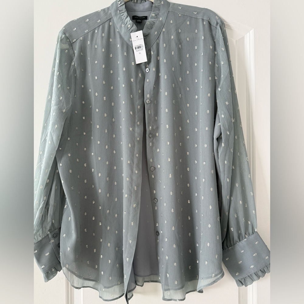 Ann Taylor Metallic gray blouse NWT Size XL
